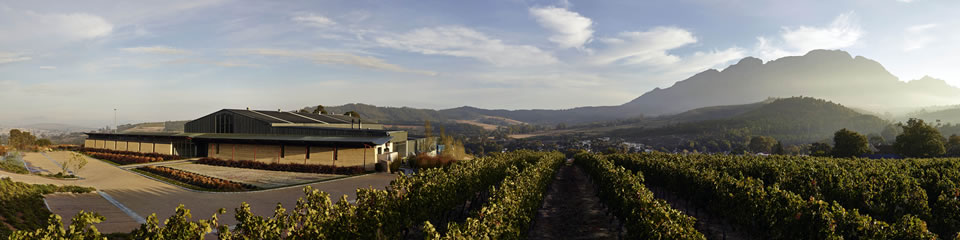 The Power Of Trusting Neil Ellis Wines Wine Goggle The Power Of Trusting Neil Ellis Wines Wine Goggle